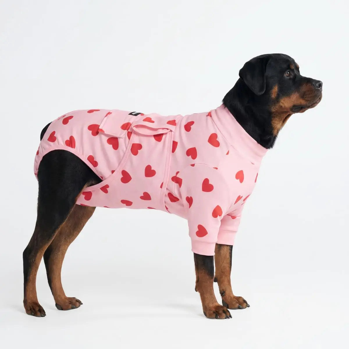 Spark Paws Dog Surgery Recovery Suit – Dog Recovery Suit after Surgery, Anti-Lick Dog Onesie, Abdominal Wound Protector, Soft Cone Alternative for Spay Neuter Male Female Pet Recovery - Donuts - S