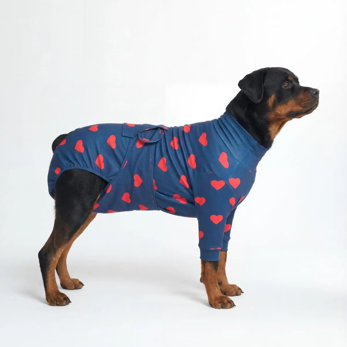Spark Paws Dog Surgery Recovery Suit – Dog Recovery Suit after Surgery, Anti-Lick Dog Onesie, Abdominal Wound Protector, Soft Cone Alternative for Spay Neuter Male Female Pet Recovery - Donuts - S