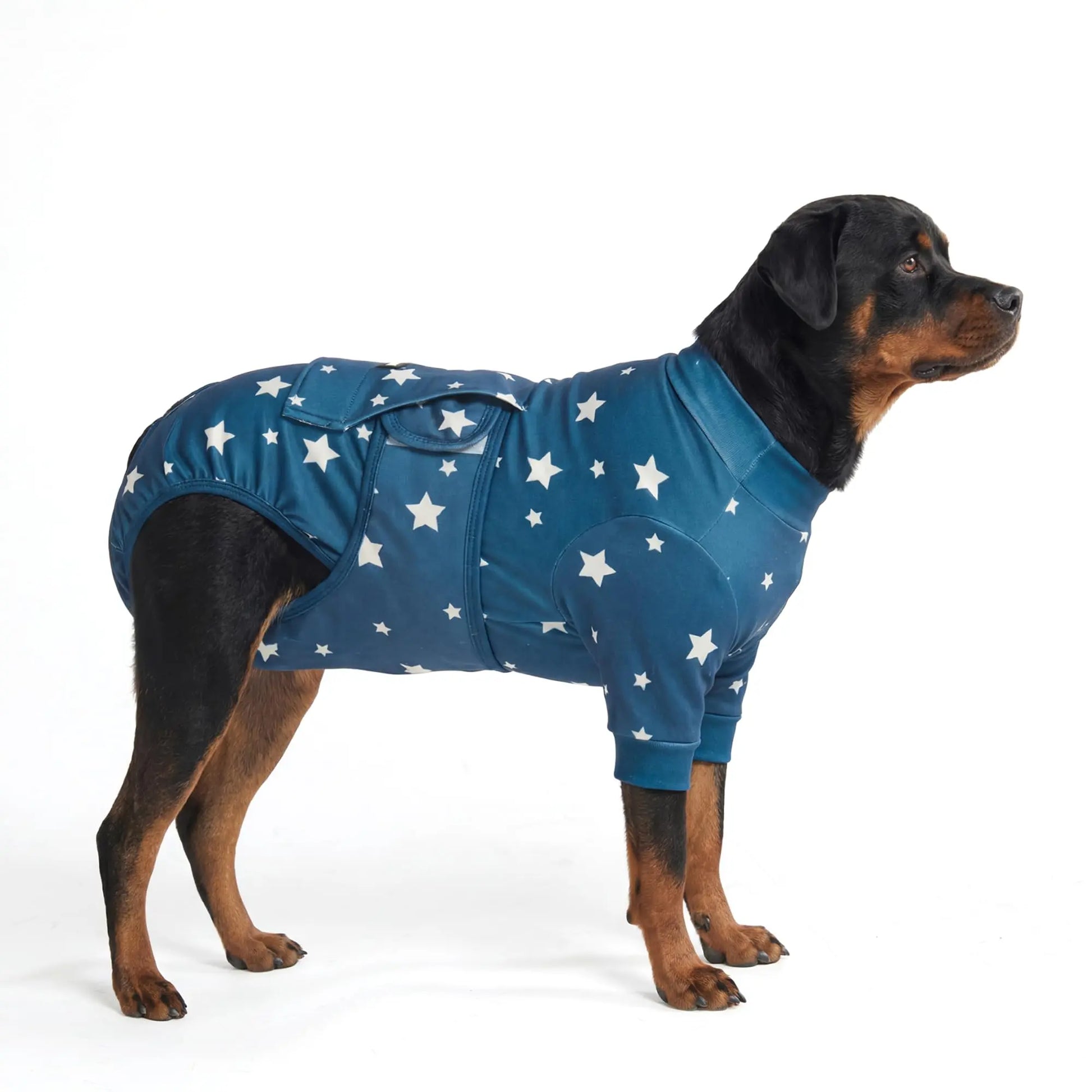 Spark Paws Dog Surgery Recovery Suit – Dog Recovery Suit after Surgery, Anti-Lick Dog Onesie, Abdominal Wound Protector, Soft Cone Alternative for Spay Neuter Male Female Pet Recovery - Donuts - S