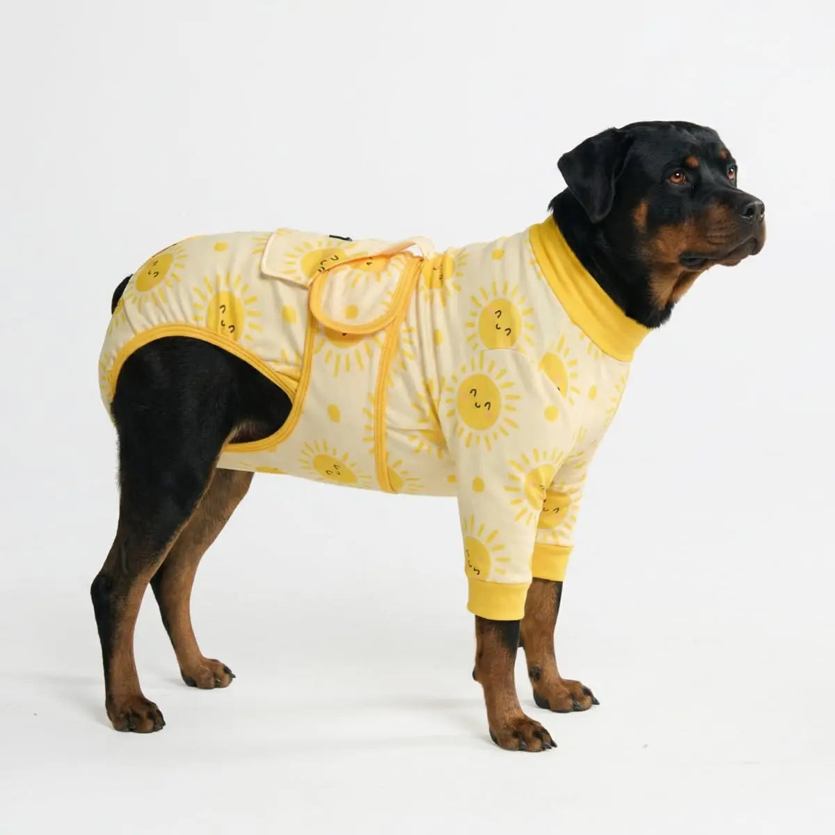 Spark Paws Dog Surgery Recovery Suit – Dog Recovery Suit after Surgery, Anti-Lick Dog Onesie, Abdominal Wound Protector, Soft Cone Alternative for Spay Neuter Male Female Pet Recovery - Donuts - S