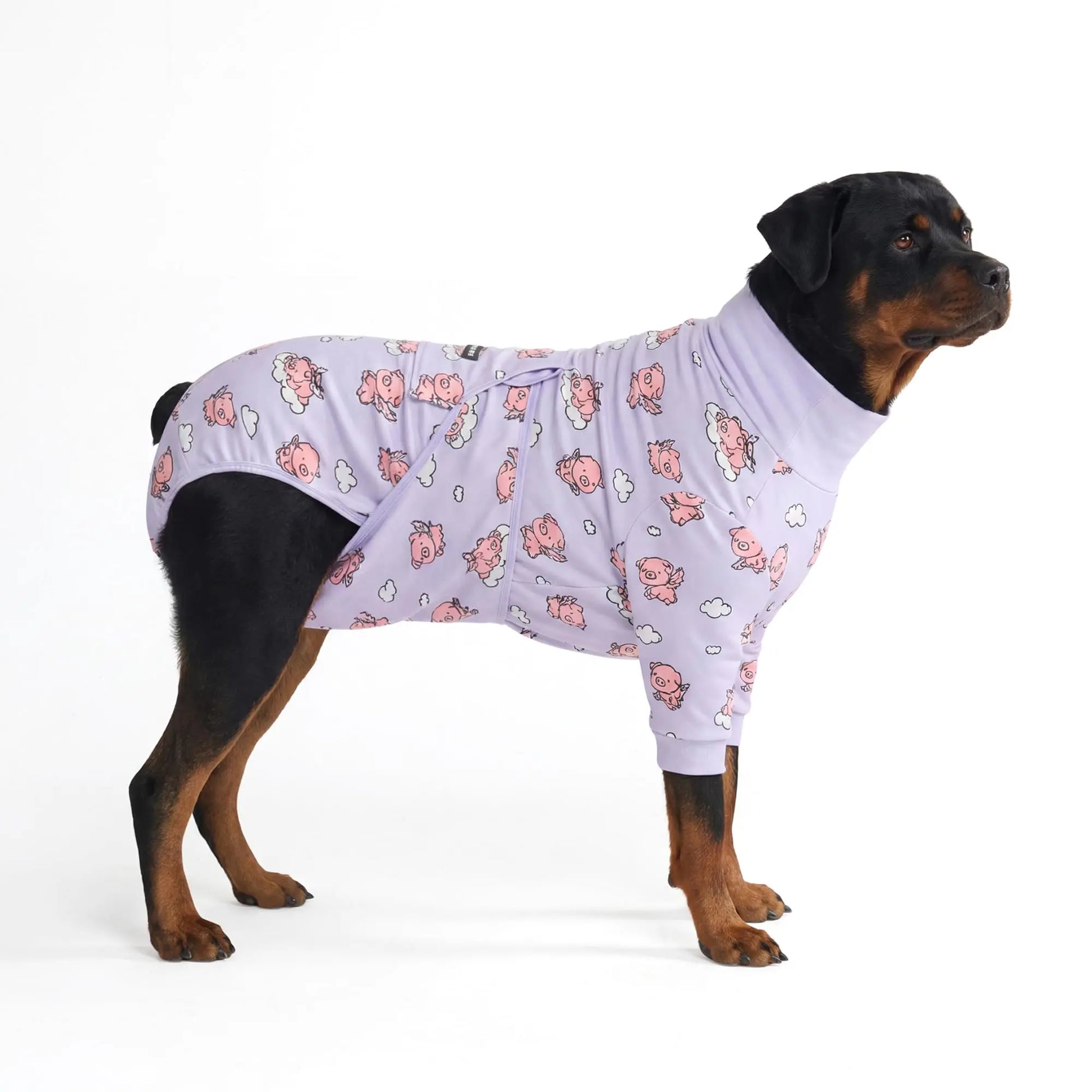 Spark Paws Dog Surgery Recovery Suit – Dog Recovery Suit after Surgery, Anti-Lick Dog Onesie, Abdominal Wound Protector, Soft Cone Alternative for Spay Neuter Male Female Pet Recovery - Donuts - S